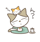 ねこ師匠（個別スタンプ：17）