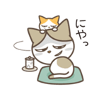 ねこ師匠（個別スタンプ：27）