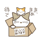 ねこ師匠（個別スタンプ：29）