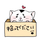 関西野良ネコ（個別スタンプ：4）