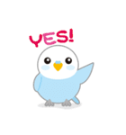 水色インコくん（個別スタンプ：1）