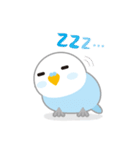 水色インコくん（個別スタンプ：5）