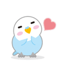 水色インコくん（個別スタンプ：7）