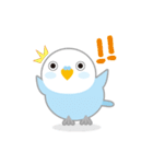水色インコくん（個別スタンプ：8）