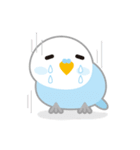 水色インコくん（個別スタンプ：9）