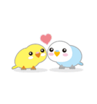 水色インコくん（個別スタンプ：11）