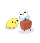 水色インコくん（個別スタンプ：23）