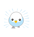 水色インコくん（個別スタンプ：35）