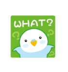 水色インコくん（個別スタンプ：39）