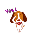 Cute dog beagle（個別スタンプ：7）