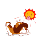 Cute dog beagle（個別スタンプ：25）