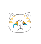 Ms.Catangel（個別スタンプ：35）