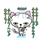 ナイーブにゃんこ（個別スタンプ：34）