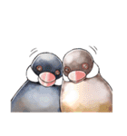ふととり（個別スタンプ：11）