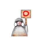 ふととり（個別スタンプ：14）