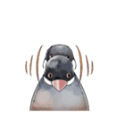 ふととり（個別スタンプ：28）