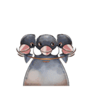 ふととり（個別スタンプ：29）