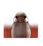 ふととり（個別スタンプ：32）