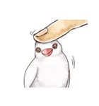 ふととり（個別スタンプ：35）