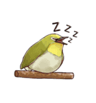 ふととり（個別スタンプ：37）