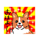 幸せコーギー（個別スタンプ：7）