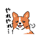 幸せコーギー（個別スタンプ：9）