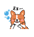 幸せコーギー（個別スタンプ：17）