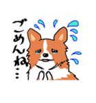 幸せコーギー（個別スタンプ：18）