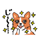 幸せコーギー（個別スタンプ：38）