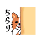 幸せコーギー（個別スタンプ：39）