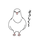 白い鳩（個別スタンプ：1）