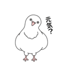 白い鳩（個別スタンプ：3）