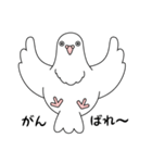 白い鳩（個別スタンプ：4）
