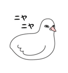 白い鳩（個別スタンプ：12）