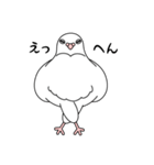 白い鳩（個別スタンプ：15）