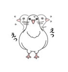 白い鳩（個別スタンプ：22）