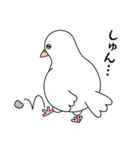白い鳩（個別スタンプ：29）