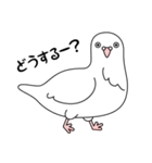 白い鳩（個別スタンプ：32）