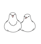 白い鳩（個別スタンプ：36）