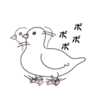 白い鳩（個別スタンプ：37）