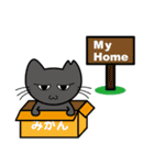 むすっとした猫スタンプ（個別スタンプ：3）