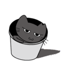 むすっとした猫スタンプ（個別スタンプ：12）