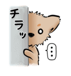 ふわふわくん（個別スタンプ：34）