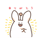 うさっぱ（個別スタンプ：5）