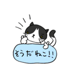 やばいねこ！（個別スタンプ：24）