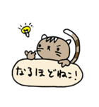 やばいねこ！（個別スタンプ：27）