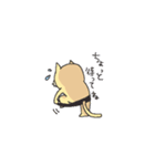 おぱんつねこ（個別スタンプ：5）