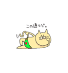 おぱんつねこ（個別スタンプ：35）