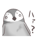 ぺんぎんの日々（個別スタンプ：15）