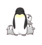 ぺんぎんの日々（個別スタンプ：31）